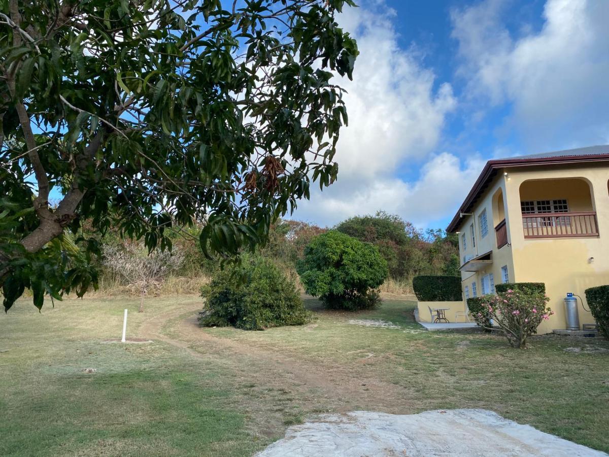 Ferienwohnung New! Bluestone Getaway In Christiansted Usvi ! Exterior foto